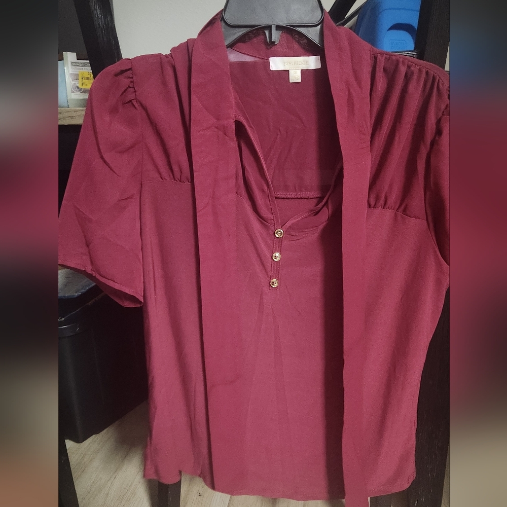 Nwot IVY & RIDGE maroon blouse